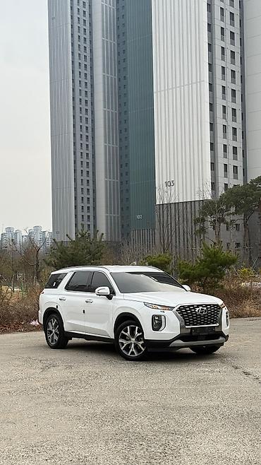 Hyundai: Hyundai Palisade: 2019 г., 2.2 л, Дизель — 1
