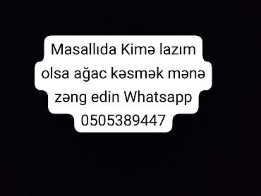 massaj xidmeti: Xidmət: Masallı rayonunda ağacların kəsilməsi Təsvir: - Həyət və bağ — 1