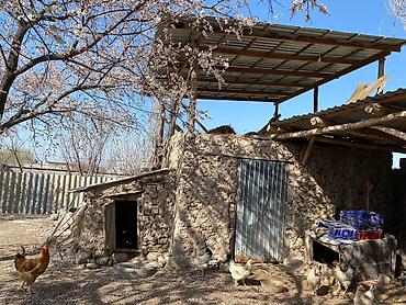 Продажа коттеджей и домов: Продаю дом 100 м² Имеется центральная канализация, газ, красная книга at lalafo.kg — 7 Продажа коттеджей и домов: Продаю дом 100 м² Имеется центральная канализация, газ, красная книга — 7