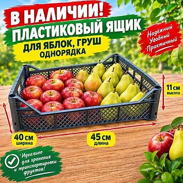 продать пластиковые ящики: Пластиковый Ящик, Новый — 1