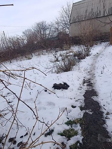 Дачный дом с участком - Участок: ровный, с дорожкой и насаждениями по — 1