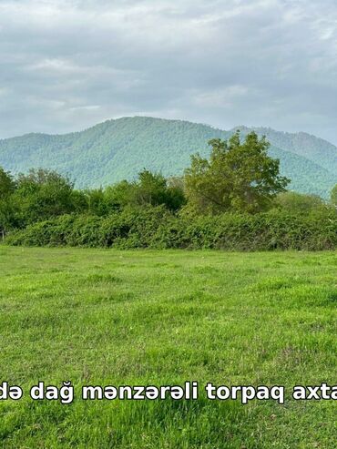 kupçalı torpaq: 40 sot, Tikinti, Mülkiyyətçi, Kupça (Çıxarış)