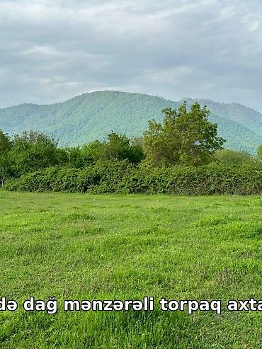 torpaq xirdalan: 40 sot, Tikinti, Mülkiyyətçi, Kupça (Çıxarış) — 2