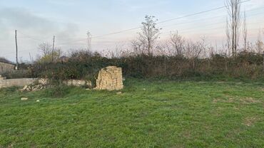 Torpaq sahələrinin satışı: Kənd təsərrüfatı, Mülkiyyətçi — 6