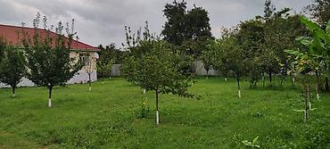 daşkəsən: 4 otaqlı, 140 kv. m, Kredit yoxdur, Orta təmir — 8