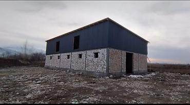 Другие специальности: Другие специальности — 4