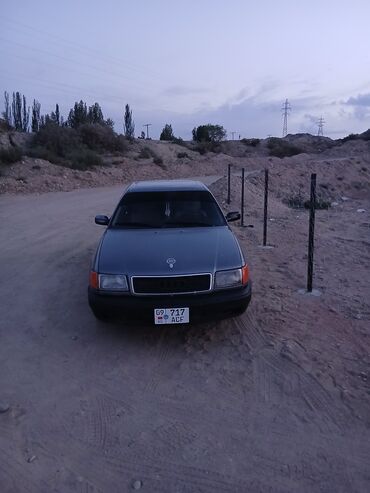 опель фронтера а: Audi 100: 1991 г., 2 л, Механика, Бензин, Седан