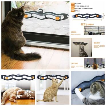 Другие животные: Устали от шерсти дома.Новые автоматизированные пуходерки(паровые — 19