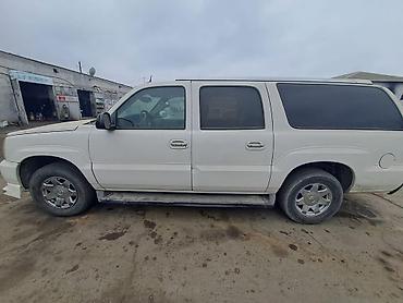 gazel diski tekeri: Cadillac Escalade: 6 l | 2005 il 471000 km Krossover — 4