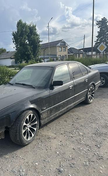 bmw 525 e39: Срочно продаю есть варки Литые диски BMW + шины - Оригинальные — 2