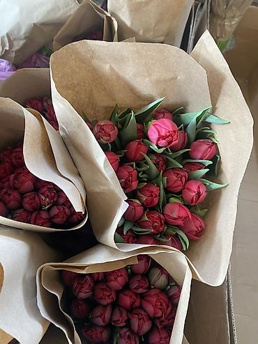 Букеты из живых цветов: Тюльпаны к 8 Марта — опт и розница. - Свежесрезанные тюльпаны разных — 20