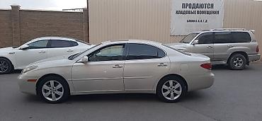 бампер 330: Lexus ES: 2004 г., 3.3 л, Автомат, Бензин, Седан — 6