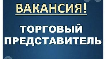 Требуется Торговый агент, График: Шестидневка, Без опыта, Обучение, Полный рабочий день