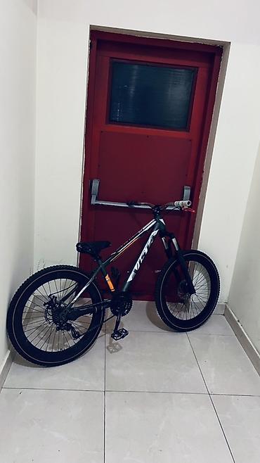 velosipet motoru: Uşaq velosipedi– VISTA Xırdalan At Heykelinin Yanı Gövdə ölçüsü və 24" — 1