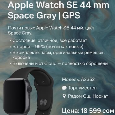 манитор кампютера: Умные часы Apple Watch SE 44 мм в цвете Space Gray с модулем GPS