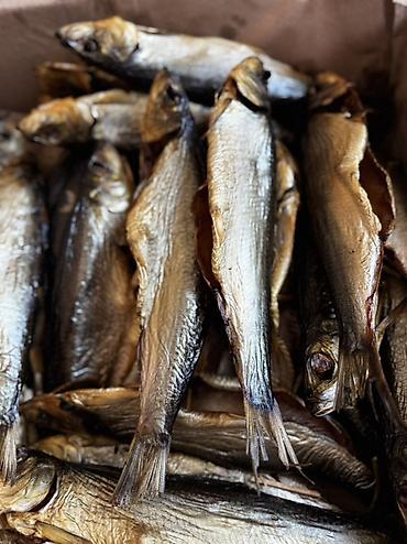 кыргыз сиги: 🐟 Приглашаем магазины и торговые точки к сотрудничеству! Предлагаем — 3