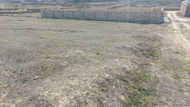 Torpaq sahələrinin satışı: 6 sot, Tikinti, Mülkiyyətçi, Kupça (Çıxarış) — 8