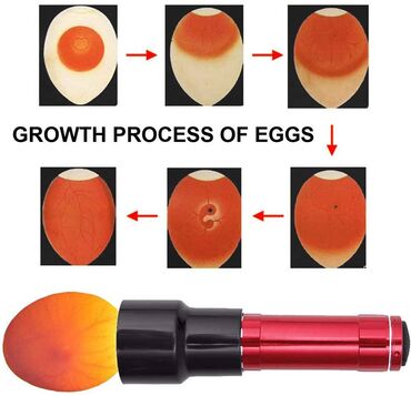Ostala elektronika: Grejac za inkubator 150w 220v cetkasti — 8