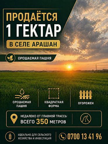 Продажа участков: 96 соток, Договор купли-продажи — 1
