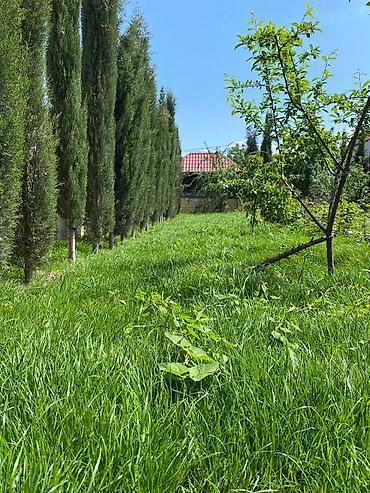 Həyət evi alıram: 476 kv. m, 9 otaq — 5