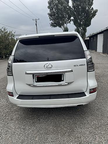мото каракол: Lexus GX: 2014 г., 4.6 л, Автомат, Бензин, Жол тандабас — 5