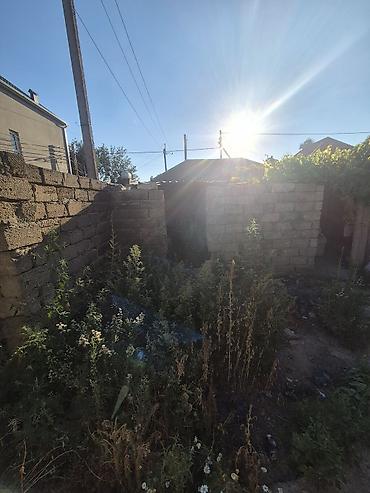 torpaq kreditle: 17 sot, Tikinti, Maklerlər narahat etməsin, Kupça (Çıxarış) — 7