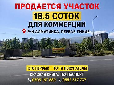 чуй: 18 соток, Для бизнеса, Красная книга — 1