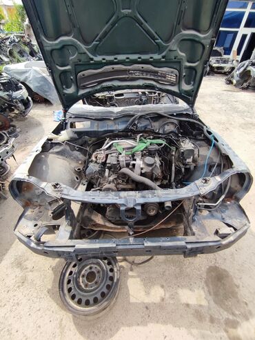 Ноускат, хафкат: Б/у, Оригинал — 4