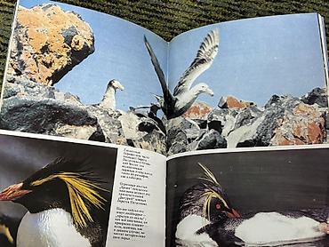 Саморазвитие и психология: 1) Книга «Экономика для Школьников». Обучающая литература. Авторы — 18