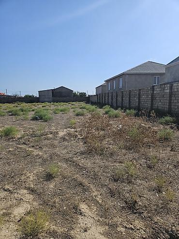Torpaq sahələrinin satışı: 8 sot, Tikinti, Kupça (Çıxarış) — 1