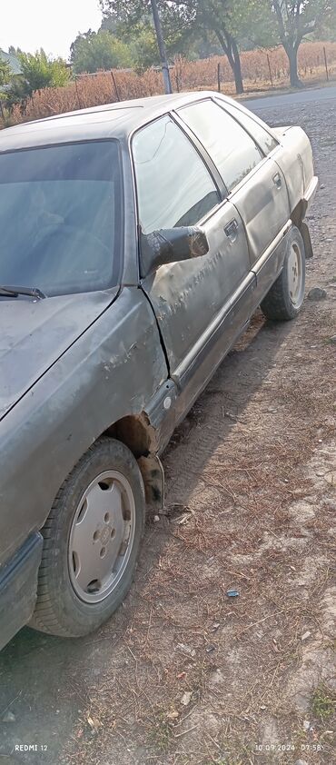 мерс 211 2 2: Audi 100: 2024 г., 2 л, Автомат, Бензин, Седан