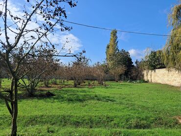 Bağ evlərinin satışı: Xaçmaz, 2 kv. m, 1 otaqlı, Hovuzsuz, Qaz, Su, İşıq — 12