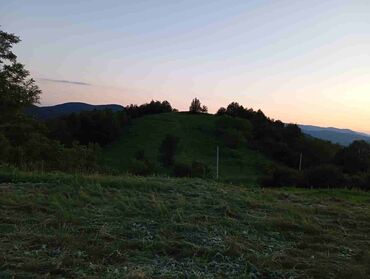 prodaja kuca i vikendica topola i okolina: Prodajem placeve na Staroj planini ko Custica,1000mnv,3 km od asvatnog