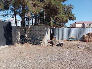 buzovnada torpaq: 4 sot, Biznes üçün, Mülkiyyətçi — 1