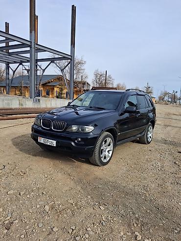 BMW: BMW X5: 2004 г., 3 л, Автомат, Дизель, Кроссовер — 3