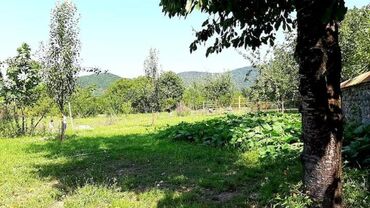 Bağ evlərinin satışı: Qəbələ, 170 kv. m, 6 otaqlı, Qaz, İşıq, Su — 7