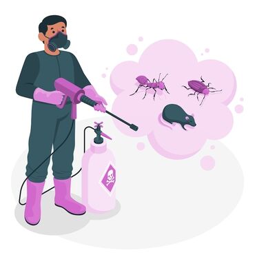 дезинфекция тараканов бишкек: Дезинфекция, дезинсекция, | Клопы, Блохи, Тараканы, | Транспорт, Офисы, Квартиры