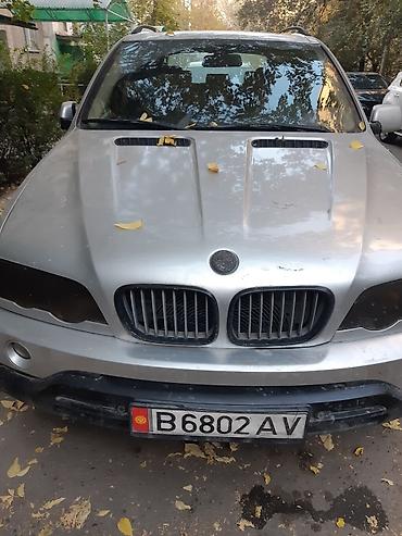 бмв e46: BMW X5: 2003 г., Автомат, Кроссовер — 3