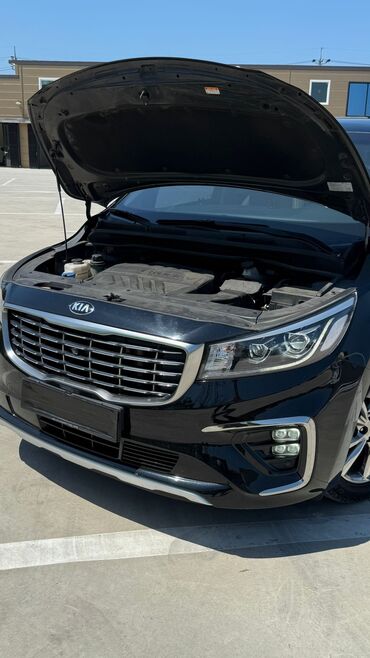 Kia: Kia Carnival: 2019 г., 2.2 л, Автомат, Дизель, Минивэн at lalafo.kg — 29 Kia: Kia Carnival: 2019 г., 2.2 л, Автомат, Дизель, Минивэн — 29