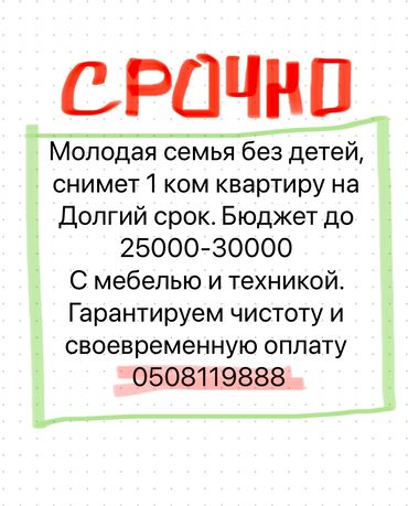 2 комнатный квартира: 1 комната, 45 м², С мебелью