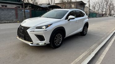 Lexus: Lexus NX: 2019 г., 2.5 л, Вариатор, Гибрид, Внедорожник