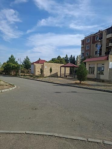 gəncə dasinmaz əmlak: Biznes üçün — 9