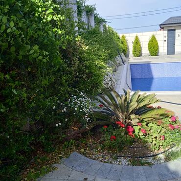 Bağbanlar: Bağ işləri ağac və kolların budanması,şəkilləndirməsi dərmanlara qazon -da lalafo.az — 31 Bağbanlar: Bağ işləri ağac və kolların budanması,şəkilləndirməsi dərmanlara qazon — 31