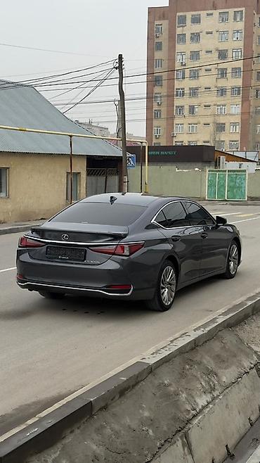 Lexus: Lexus ES: 2023 г., 2.5 л, Вариатор, Гибрид, Седан — 3