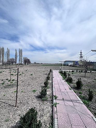 Продажа участков: 32 соток, Для бизнеса, Красная книга, Тех паспорт, Договор купли-продажи — 4