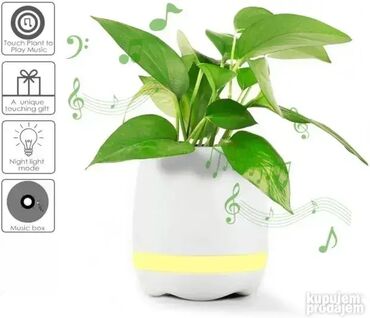 Zvučnici i stereo sistemi: *** AKCIJA *** #2290 SAKSIJA Bluetoth zvučnik Smart Music Flowerpot – — 13