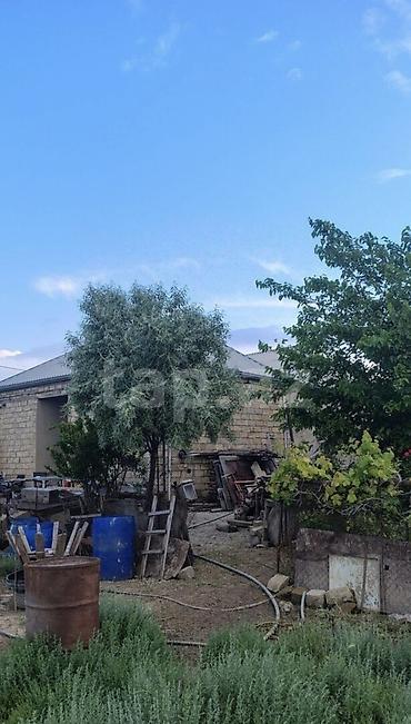 bina.az neftciler: Satılır: Yaşma istiqamətində, dənizə yaxın ərazidə torpaq sahəsi — 2
