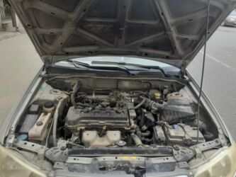 Nissan: Nissan Sunny: 1.3 l | 2006 il Sedan — 5