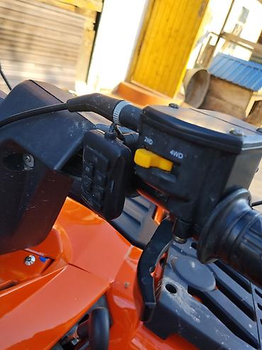 Квадроциклы: Квадроцикл Бензин, 420 куб. см, Взрослый — 6