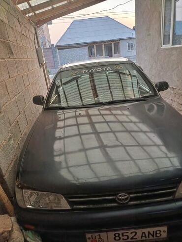 тайота крооун: Toyota Allex: 1995 г., 1.6 л, Механика, Бензин, Седан